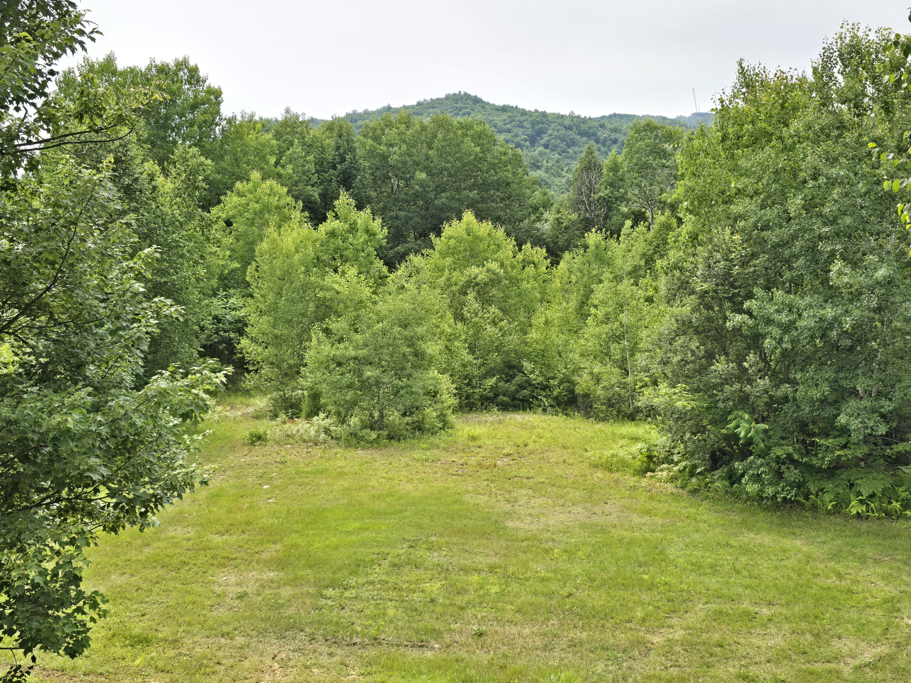 60 Riley Road Property Photo 4