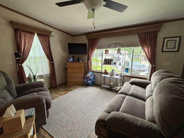 87 Pineland Drive Property Photo 5