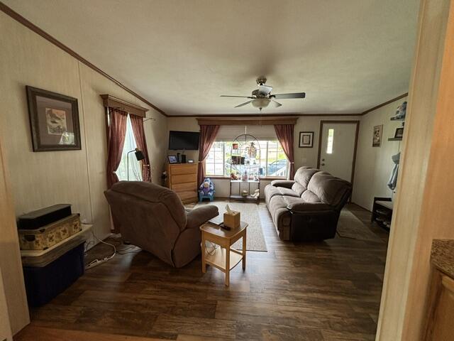 87 Pineland Drive Property Photo 6