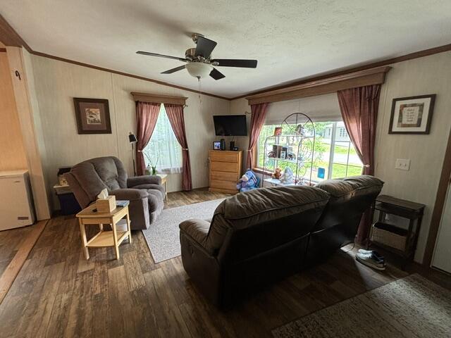 87 Pineland Drive Property Photo 7