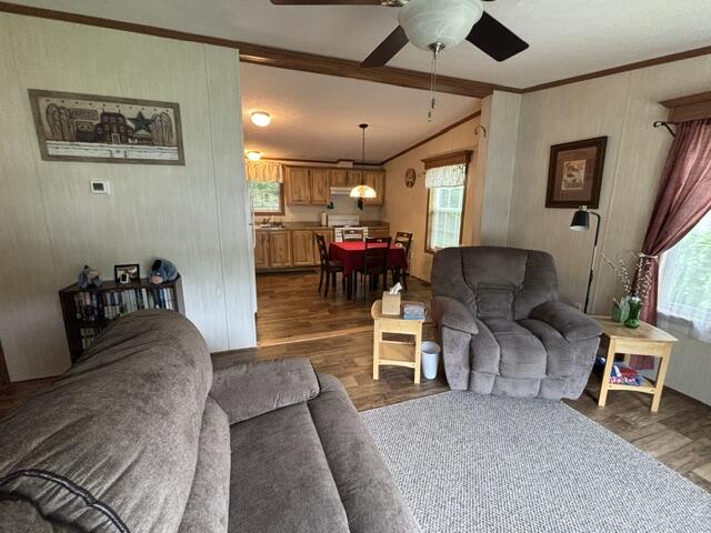 87 Pineland Drive Property Photo 8