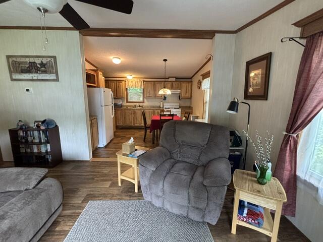 87 Pineland Drive Property Photo 9