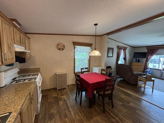 87 Pineland Drive Property Photo 11