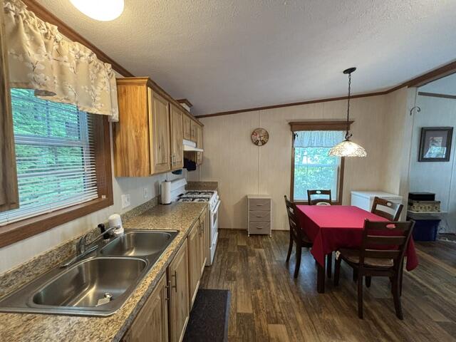 87 Pineland Drive Property Photo 12