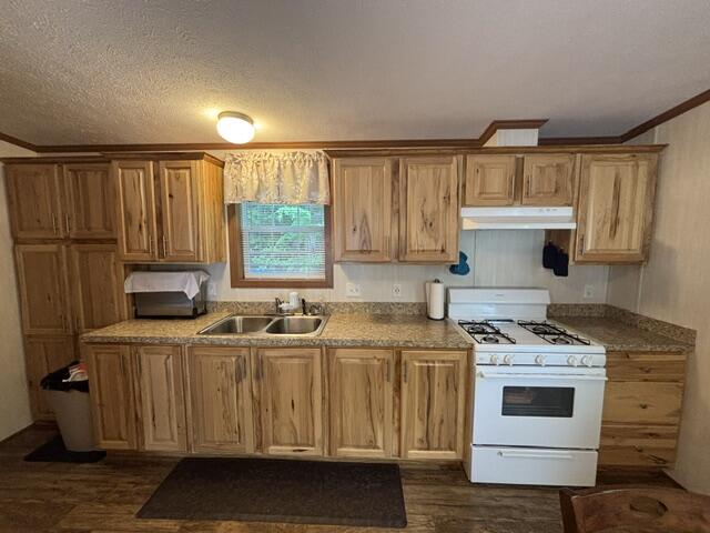 87 Pineland Drive Property Photo 15