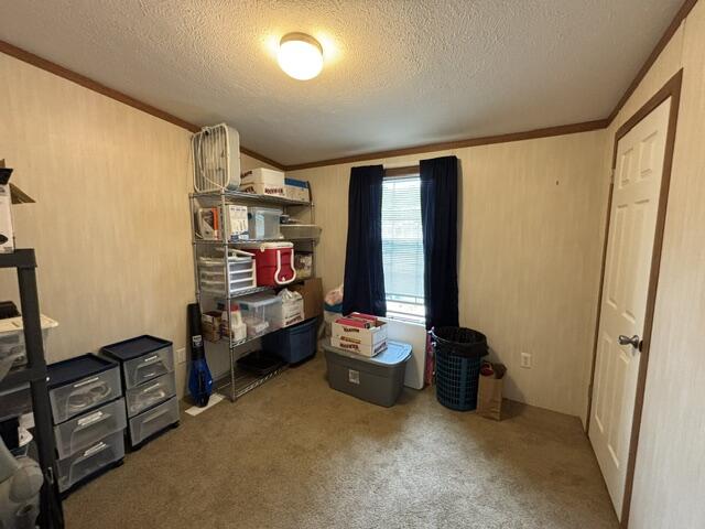 87 Pineland Drive Property Photo 22