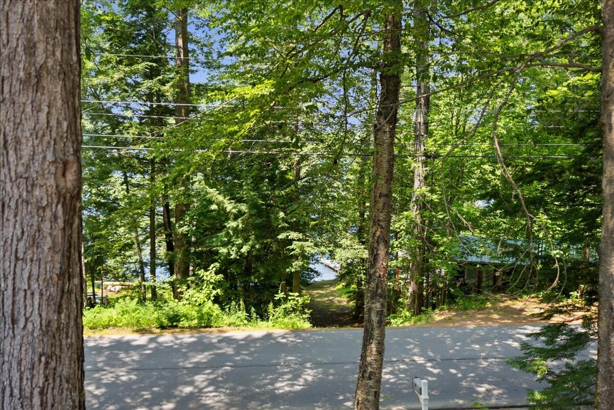 37 Beechwood Drive Property Photo 61
