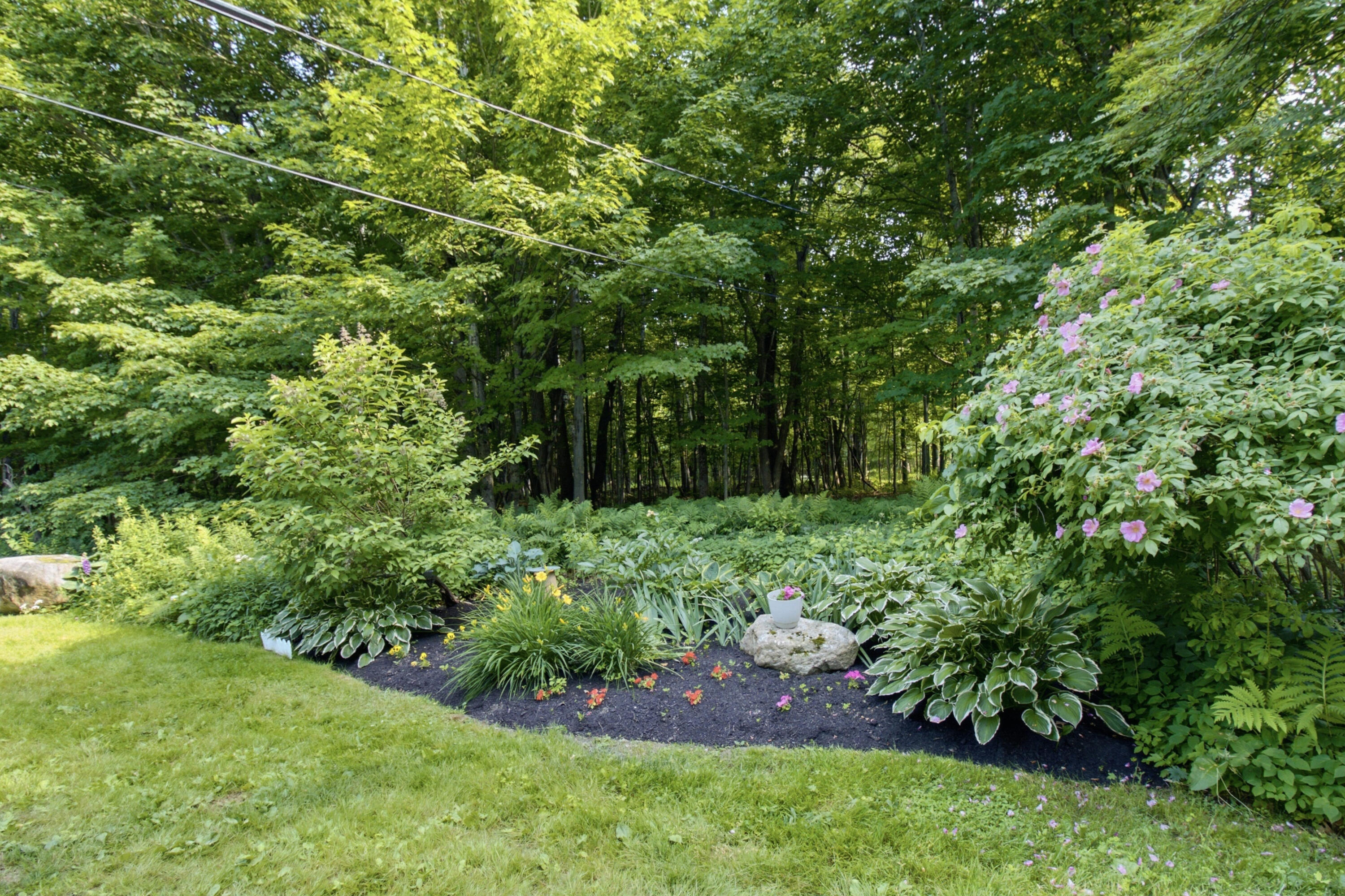 98 Waters Hill Road Property Photo 38