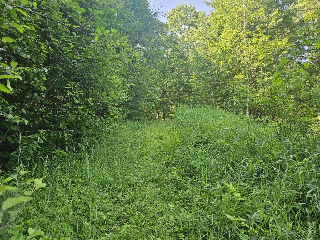 5 Farmington Falls/route 2 Road Property Photo 10