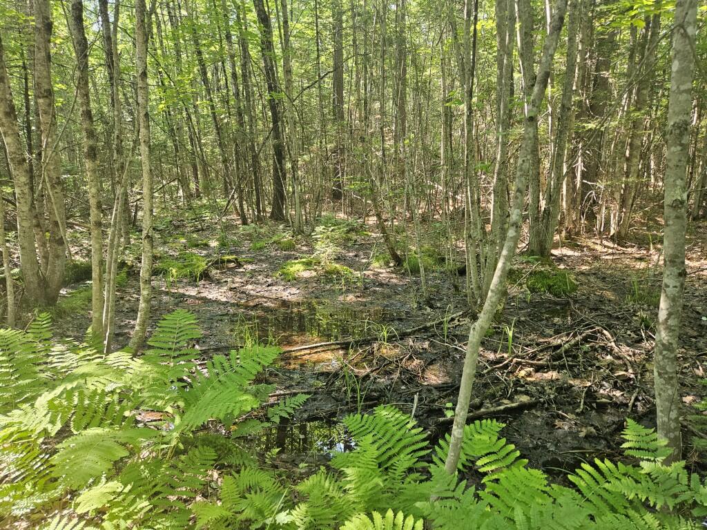 5 Farmington Falls/route 2 Road Property Photo 12