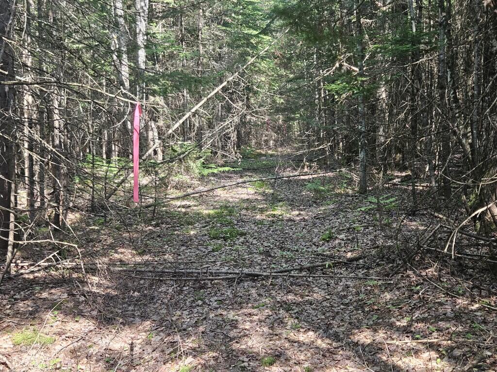 5 Farmington Falls/route 2 Road Property Photo 17
