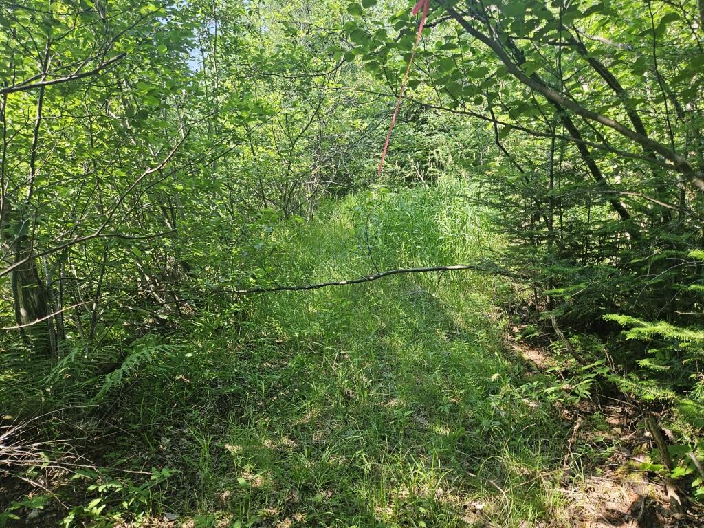 5 Farmington Falls/route 2 Road Property Photo 18