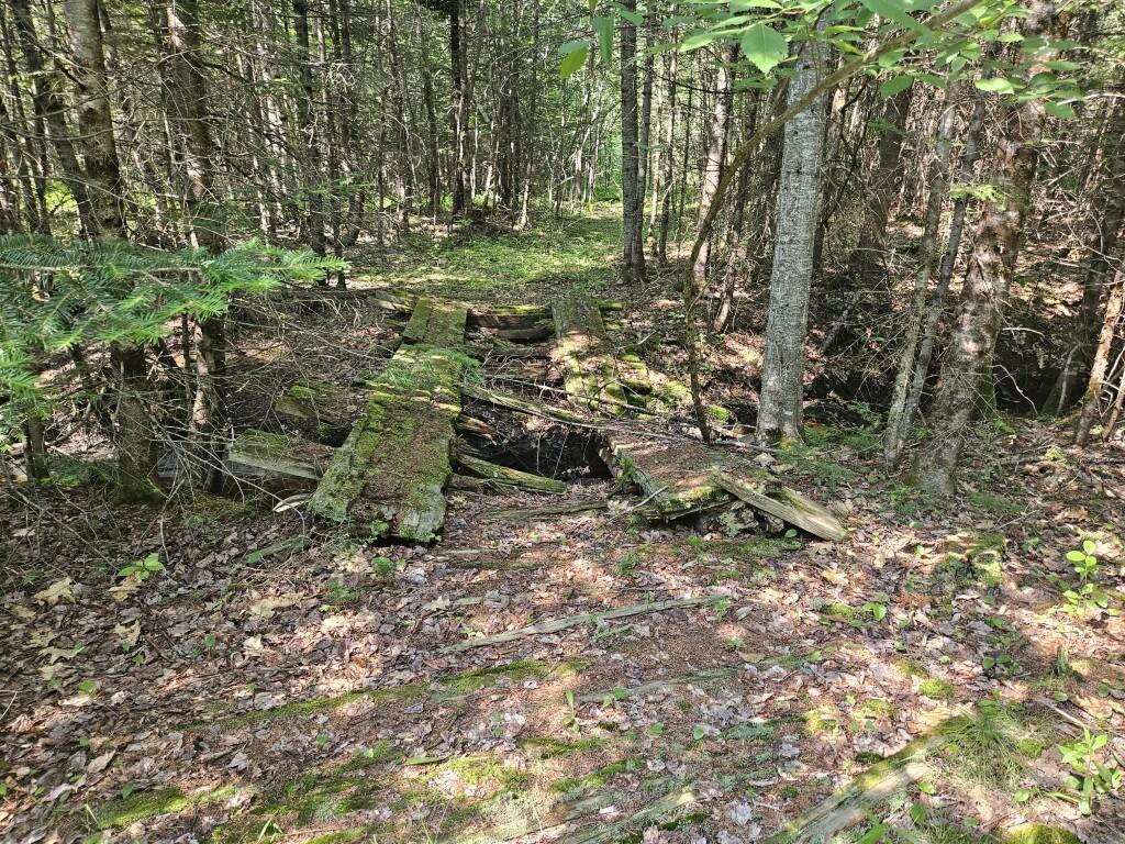 5 Farmington Falls/route 2 Road Property Photo 19
