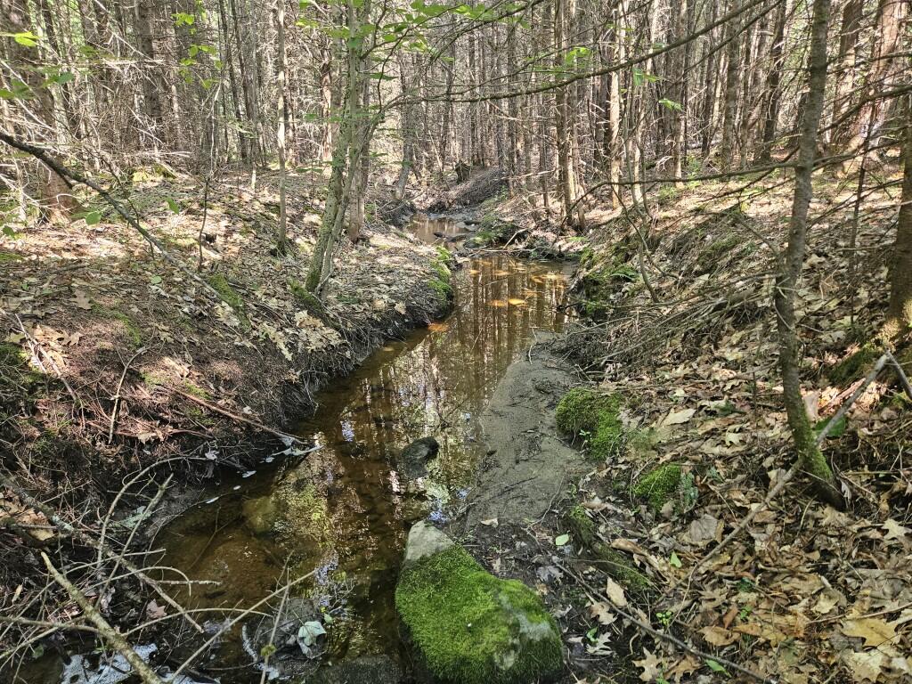 5 Farmington Falls/route 2 Road Property Photo 20