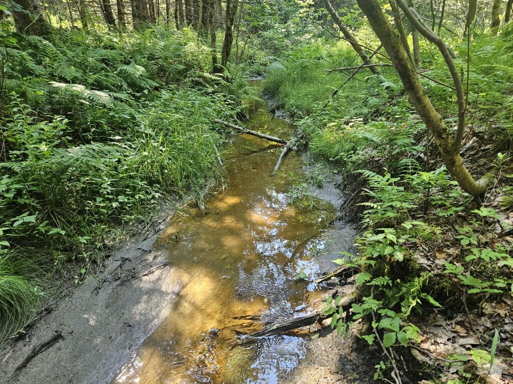 5 Farmington Falls/route 2 Road Property Photo 21