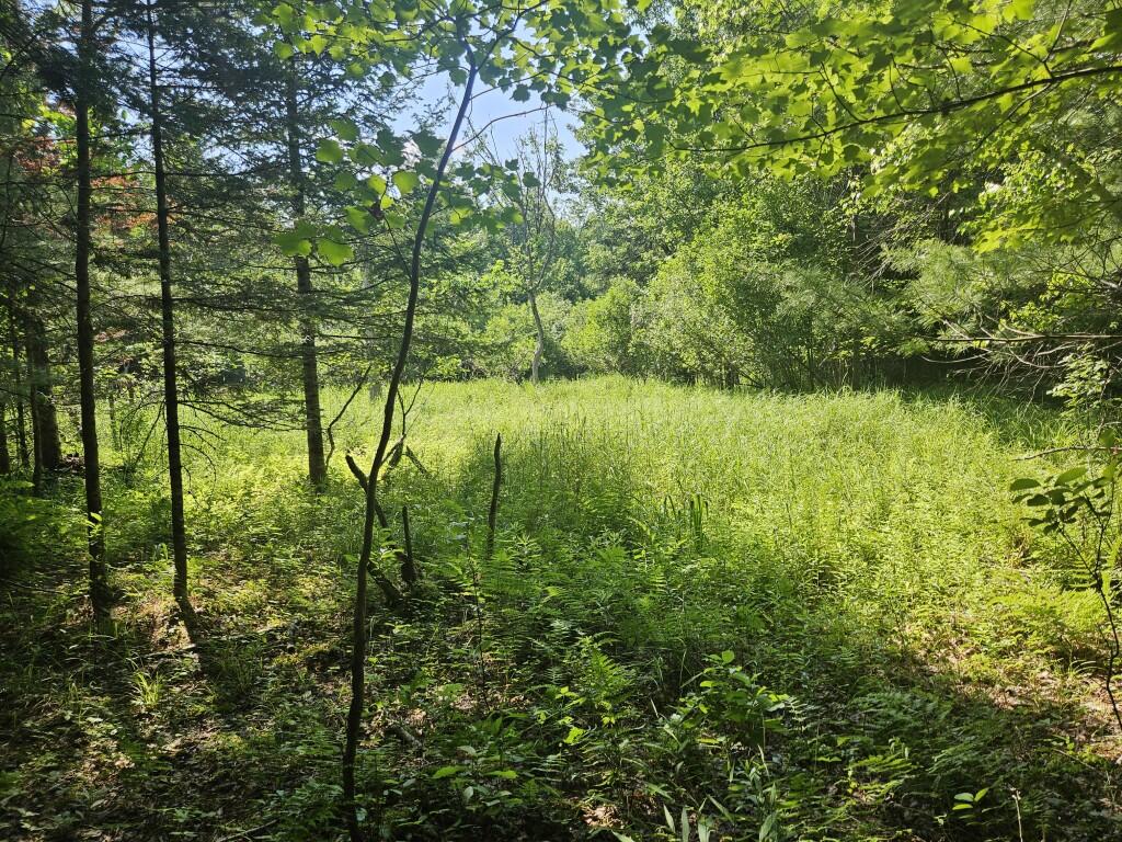 5 Farmington Falls/route 2 Road Property Photo 22