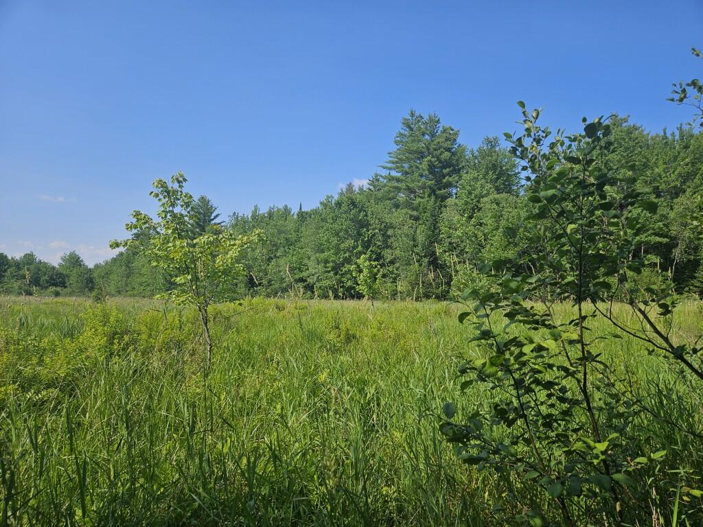 5 Farmington Falls/route 2 Road Property Photo 23