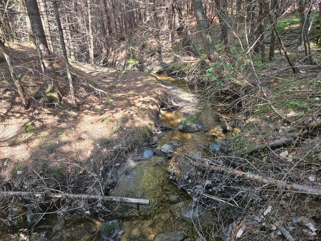 5 Farmington Falls/route 2 Road Property Photo 26