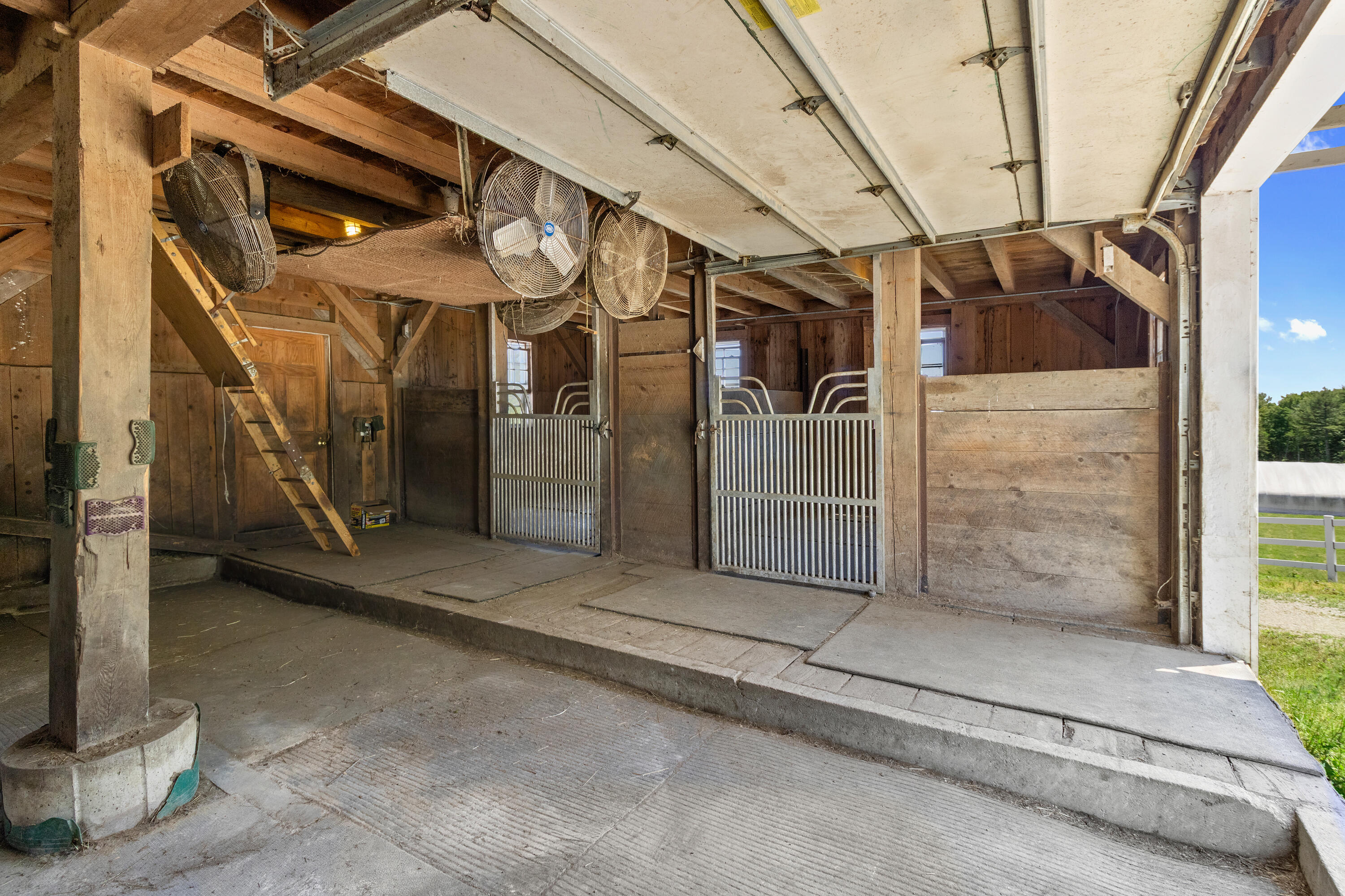 1141 Main Road Property Photo 41