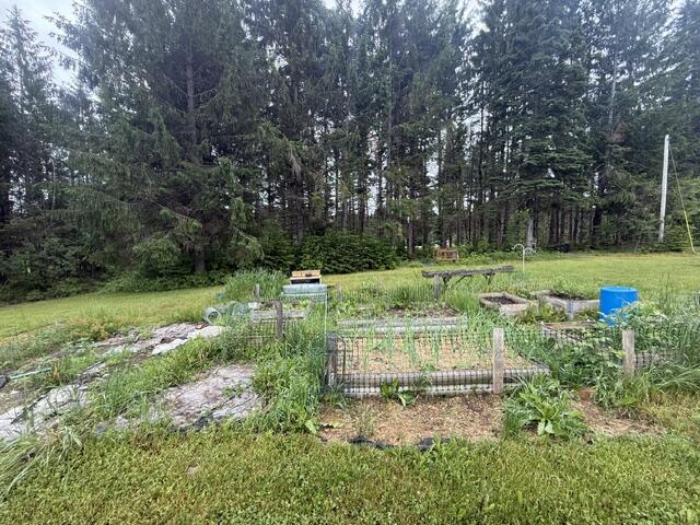 1337 E Plantation Road Property Photo 28