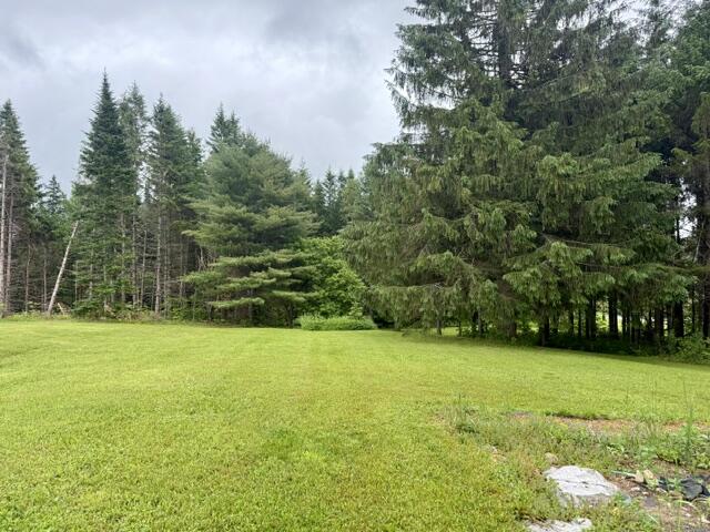 1337 E Plantation Road Property Photo 31