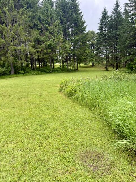 1337 E Plantation Road Property Photo 41