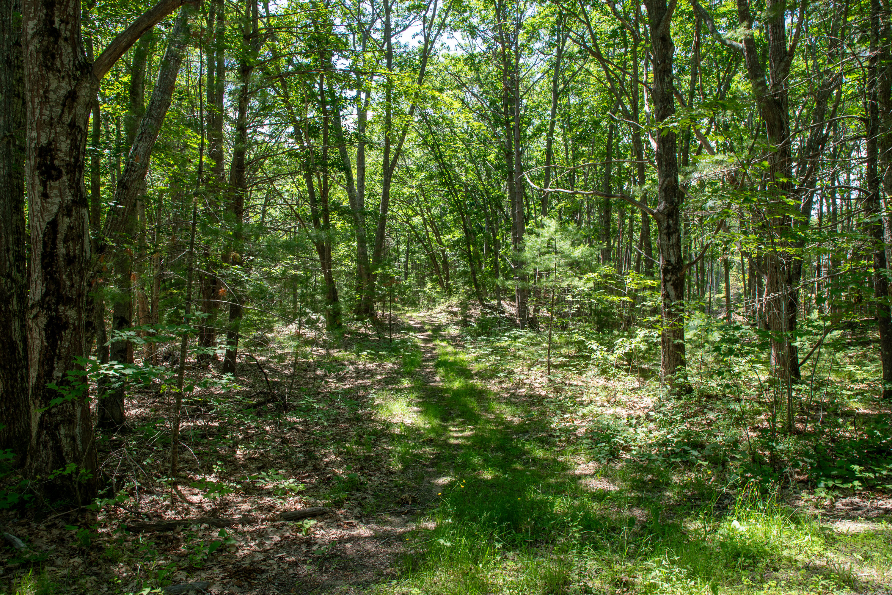 0 Clement Huff Road Property Photo 2