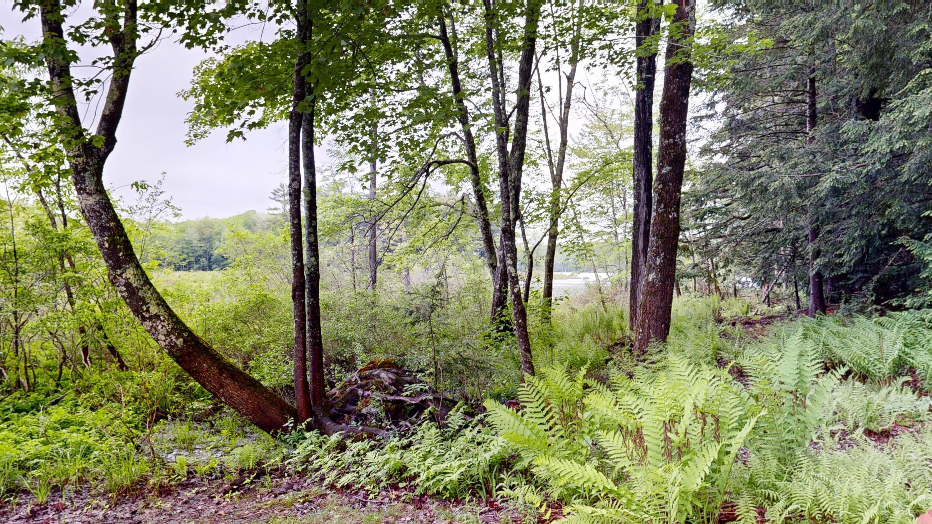 410 Dennis Hill Road Property Photo 53