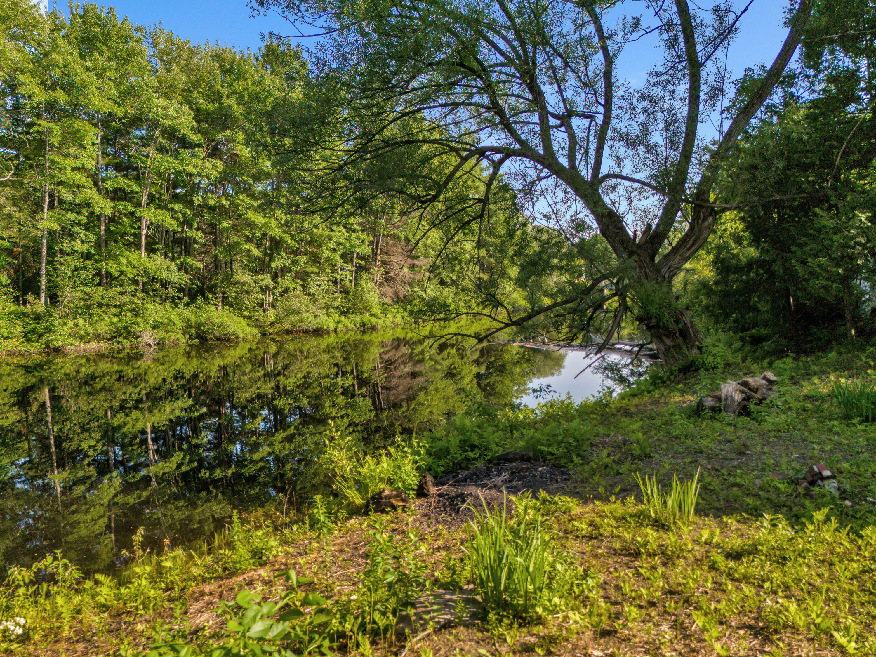 586 Plains Road Property Photo 6
