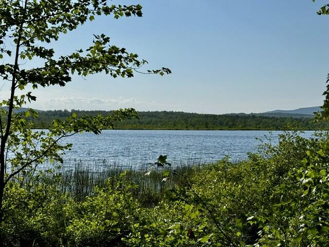 Lot 1 Skogen Ridge Drive Property Photo 1