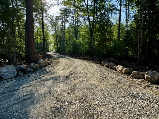Lot 1 Skogen Ridge Drive Property Photo 2