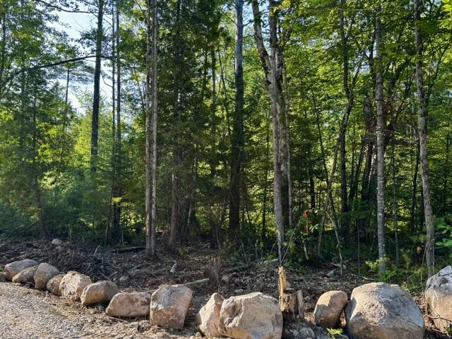 Lot 1 Skogen Ridge Drive Property Photo 4