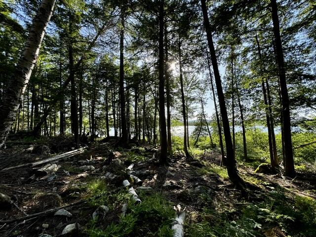 Lot 1 Skogen Ridge Drive Property Photo 5