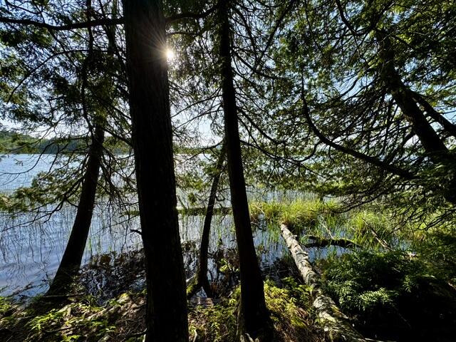 Lot 1 Skogen Ridge Drive Property Photo 6