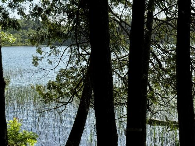 Lot 1 Skogen Ridge Drive Property Photo 7