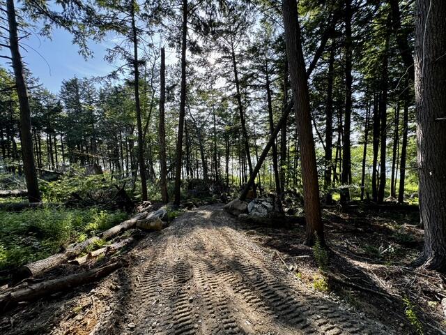 Lot 1 Skogen Ridge Drive Property Photo 8
