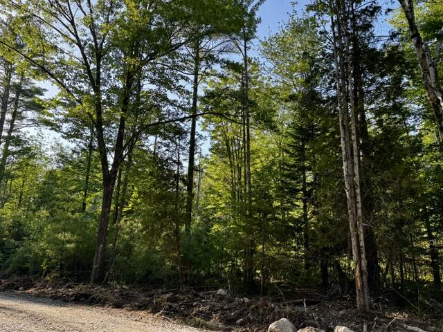 Lot 1 Skogen Ridge Drive Property Photo 9