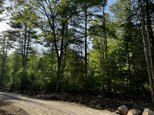 Lot 1 Skogen Ridge Drive Property Photo 10