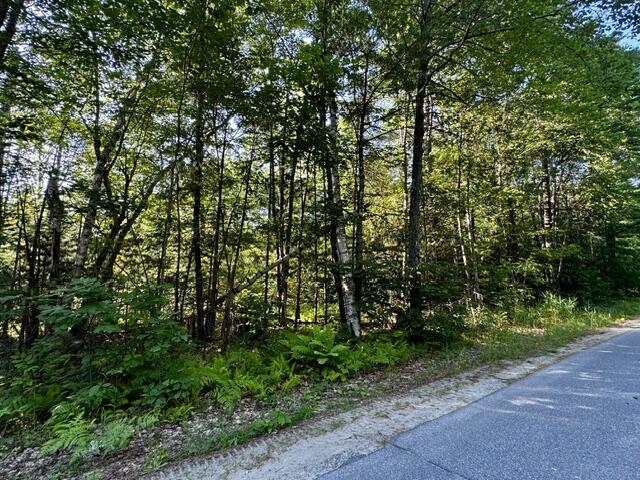Lot 1 Skogen Ridge Drive Property Photo 11