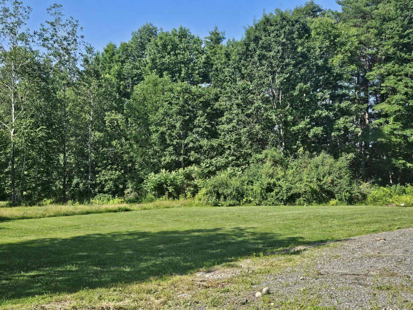 1029 E River Road Property Photo 6