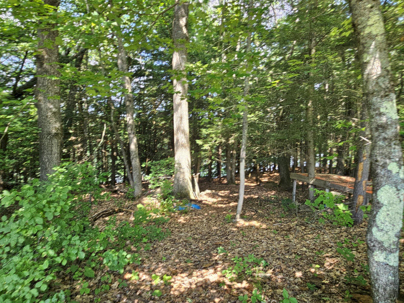 1029 E River Road Property Photo 46