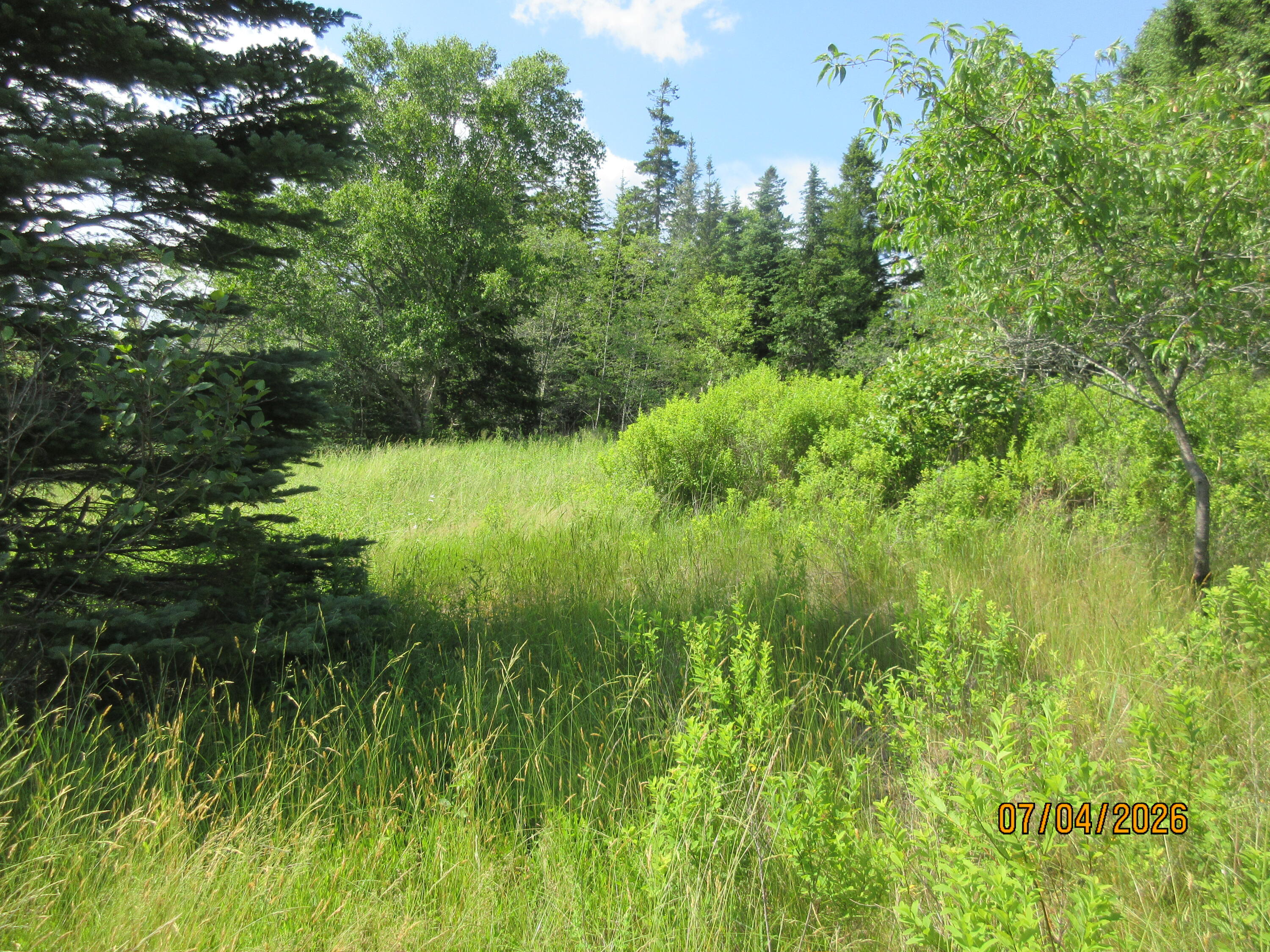 Lot 1 Smalls Point Road Property Photo 4