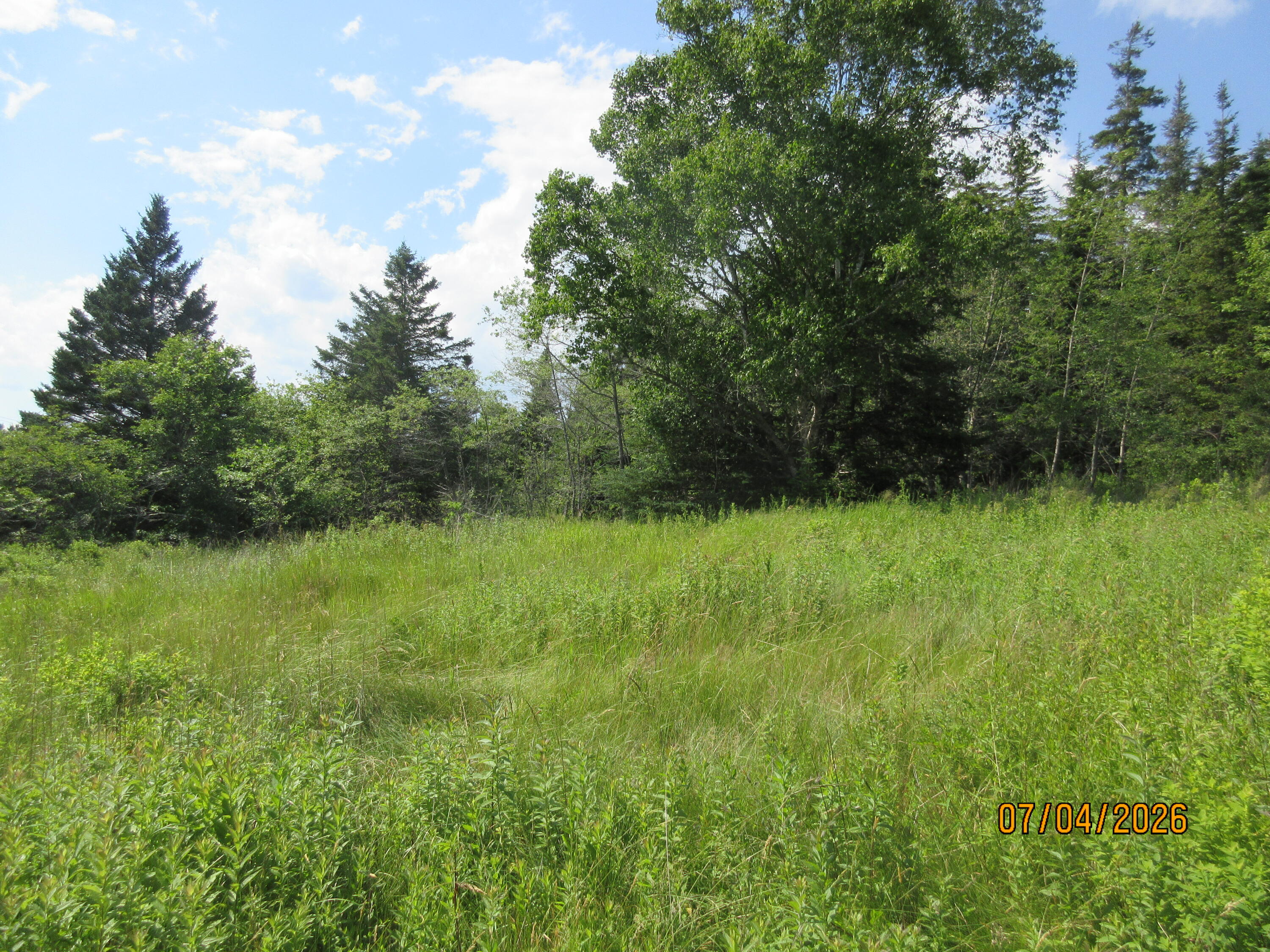 Lot 1 Smalls Point Road Property Photo 8