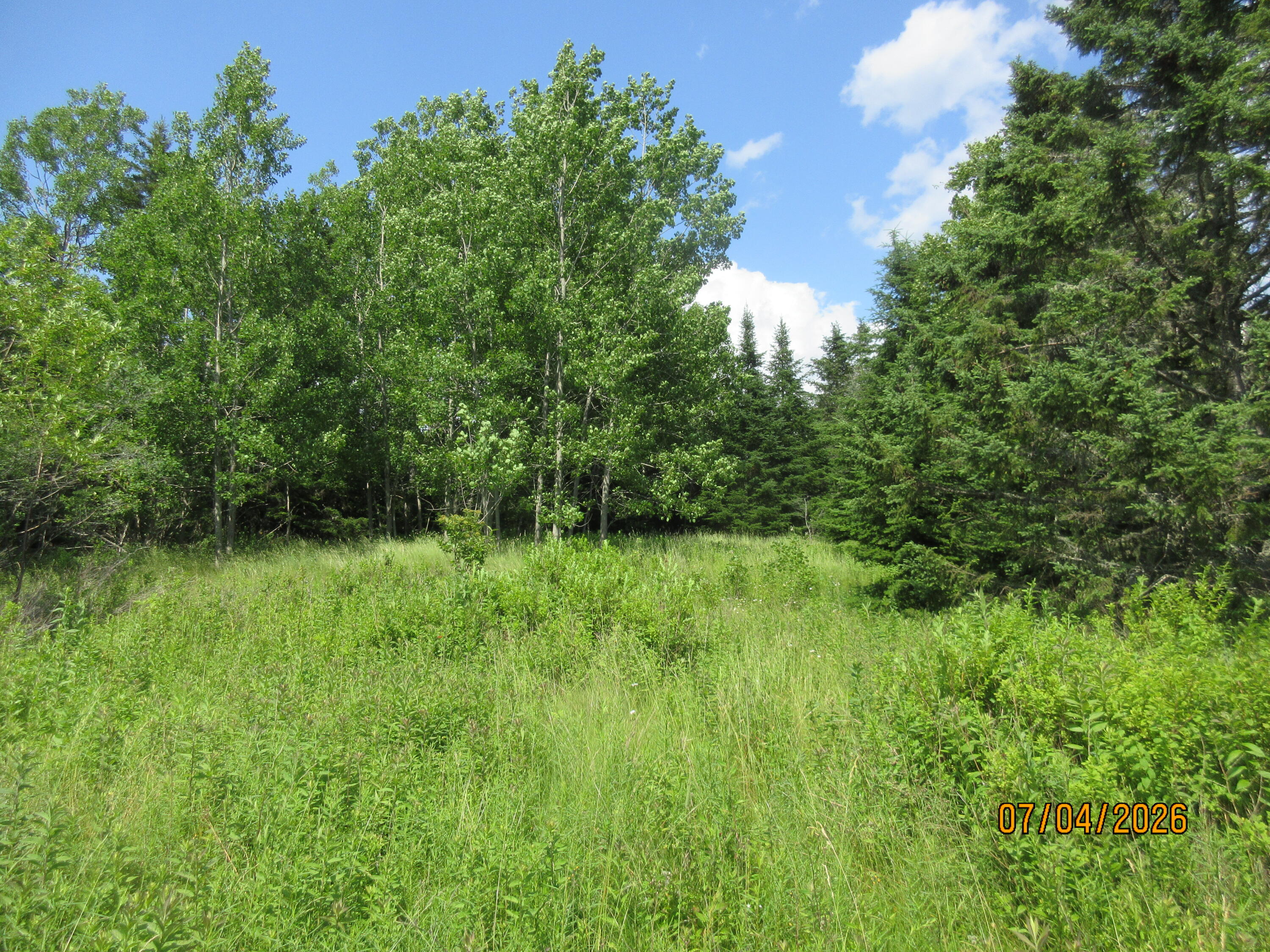 Lot 1 Smalls Point Road Property Photo 11