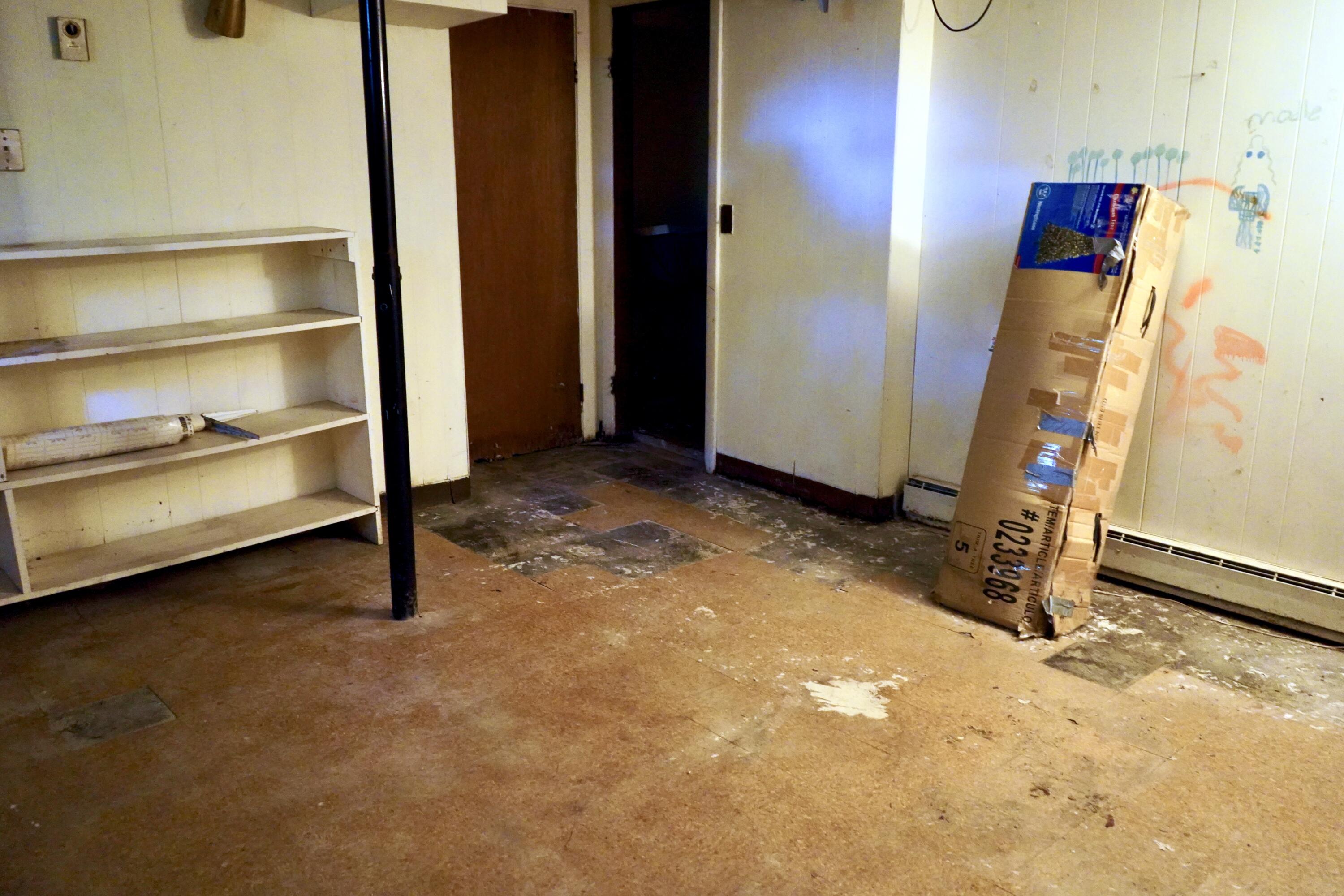 262 Hartland Avenue Property Photo 34