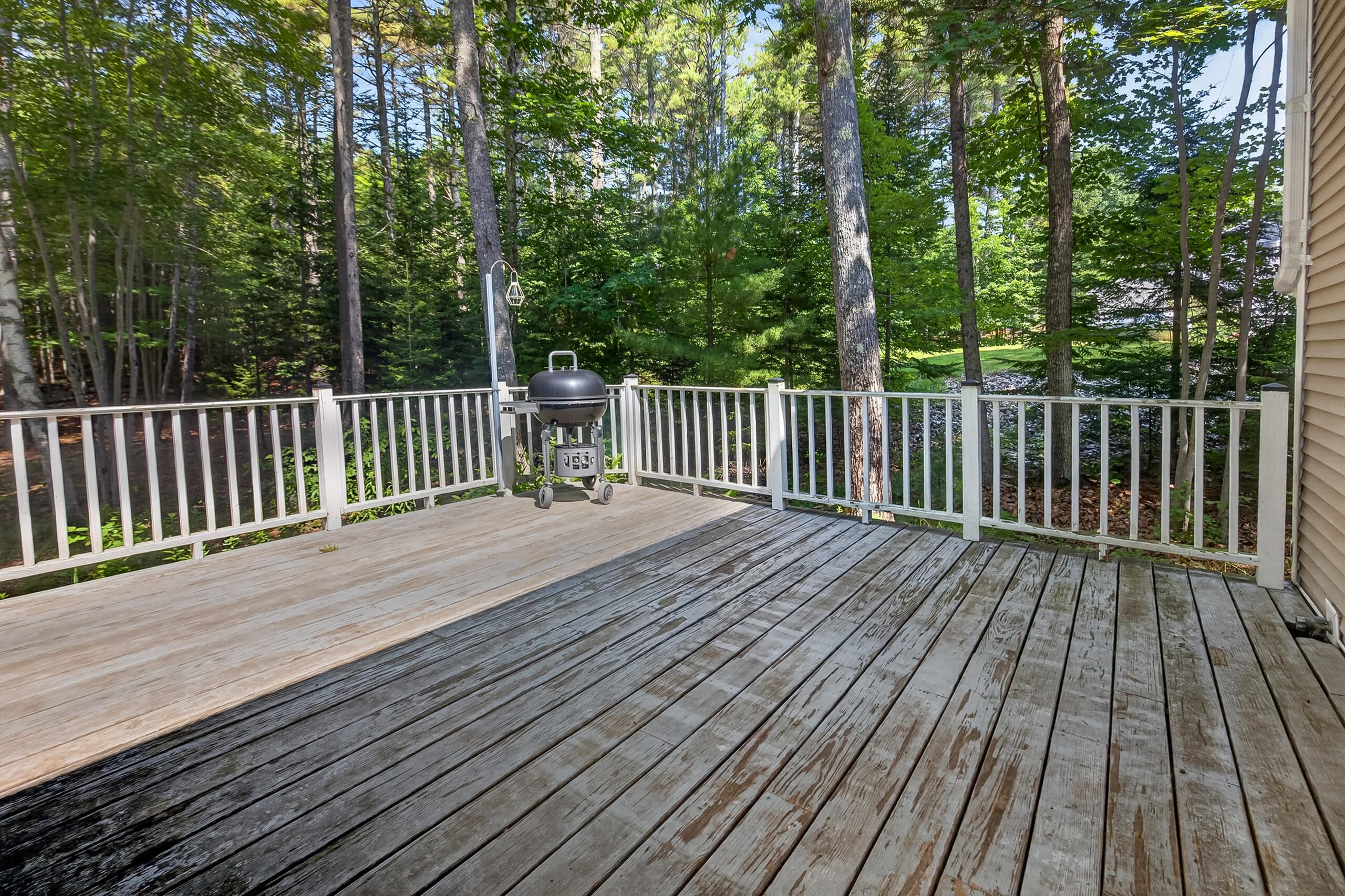 40 Forest Hill Property Photo 26