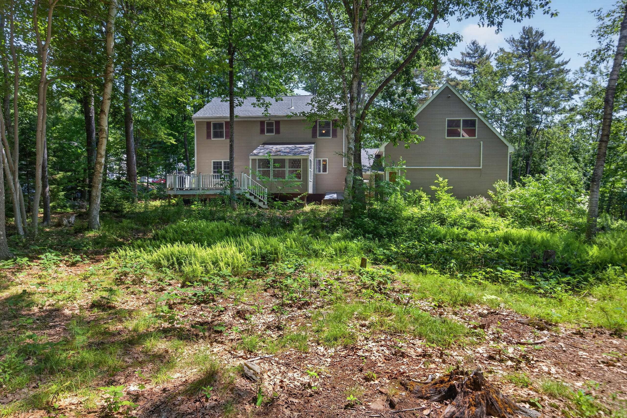 40 Forest Hill Property Photo 80