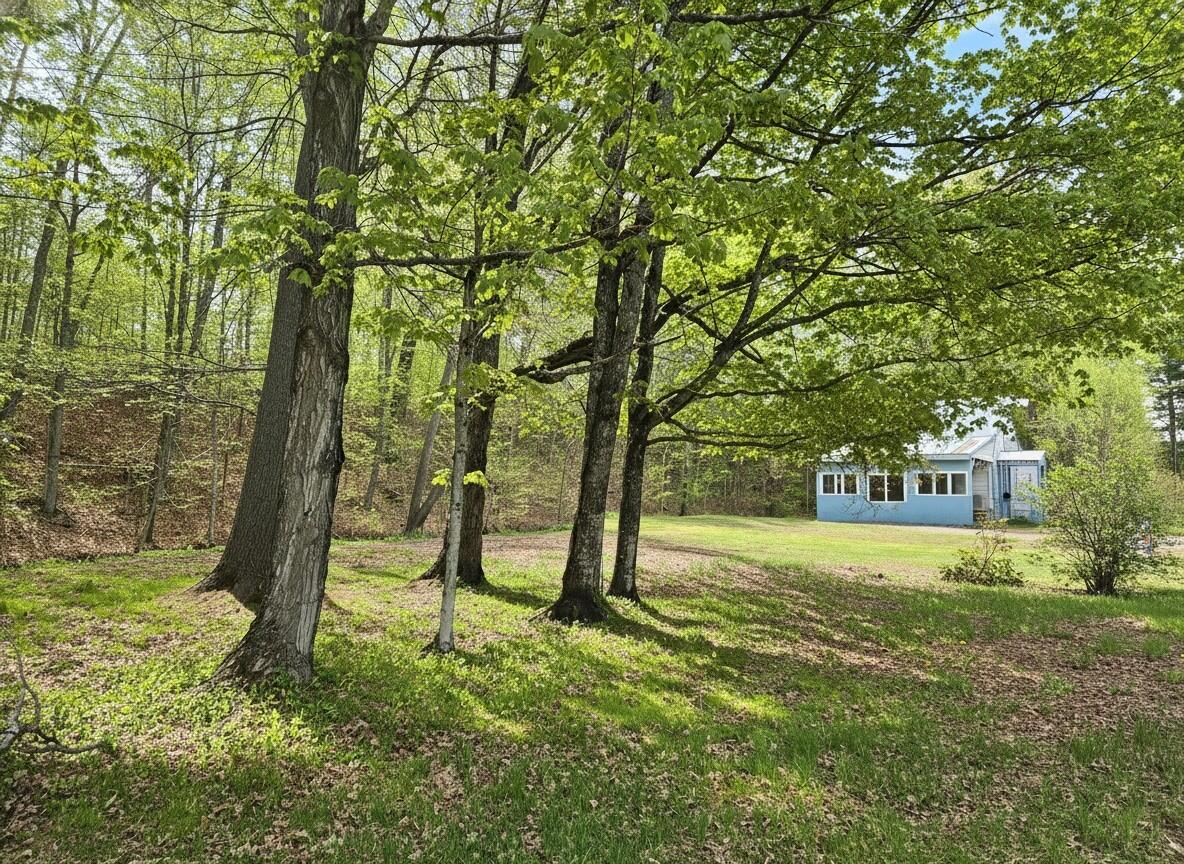372 River Road Property Photo 15