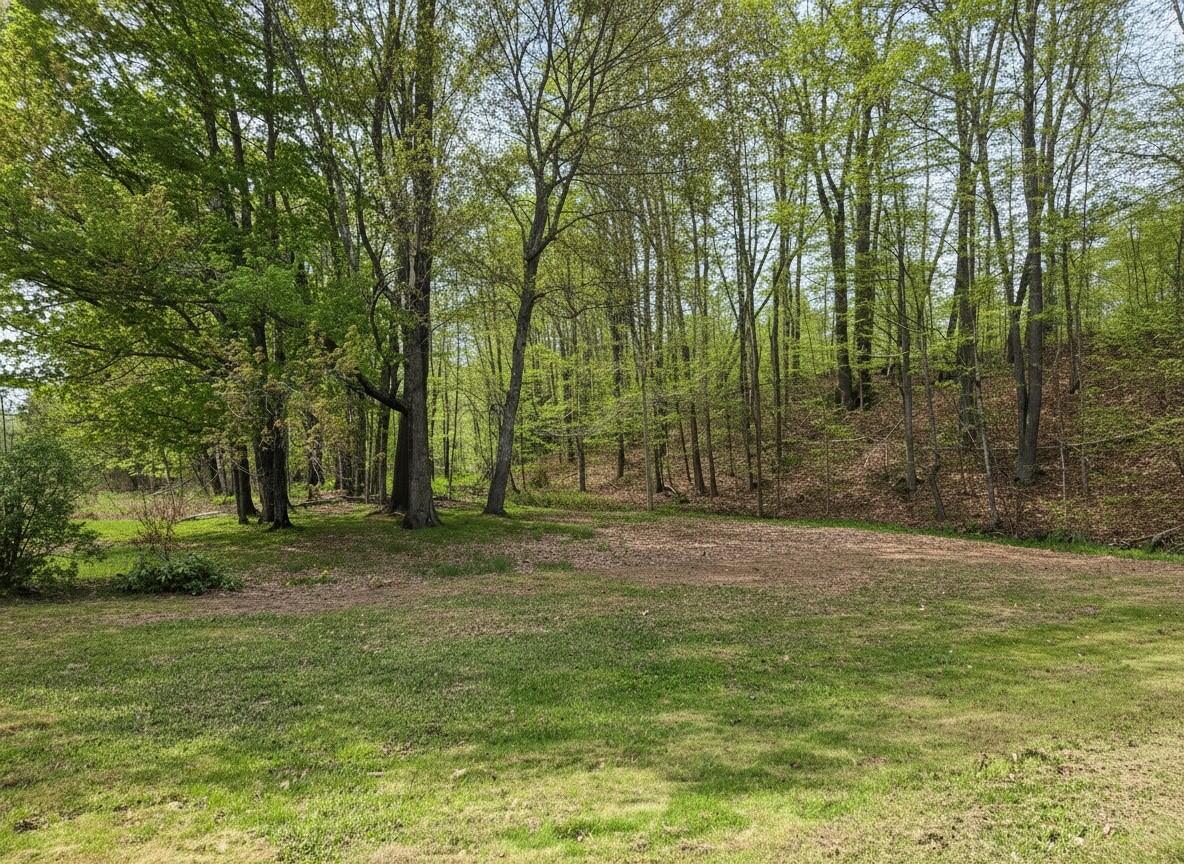 372 River Road Property Photo 16