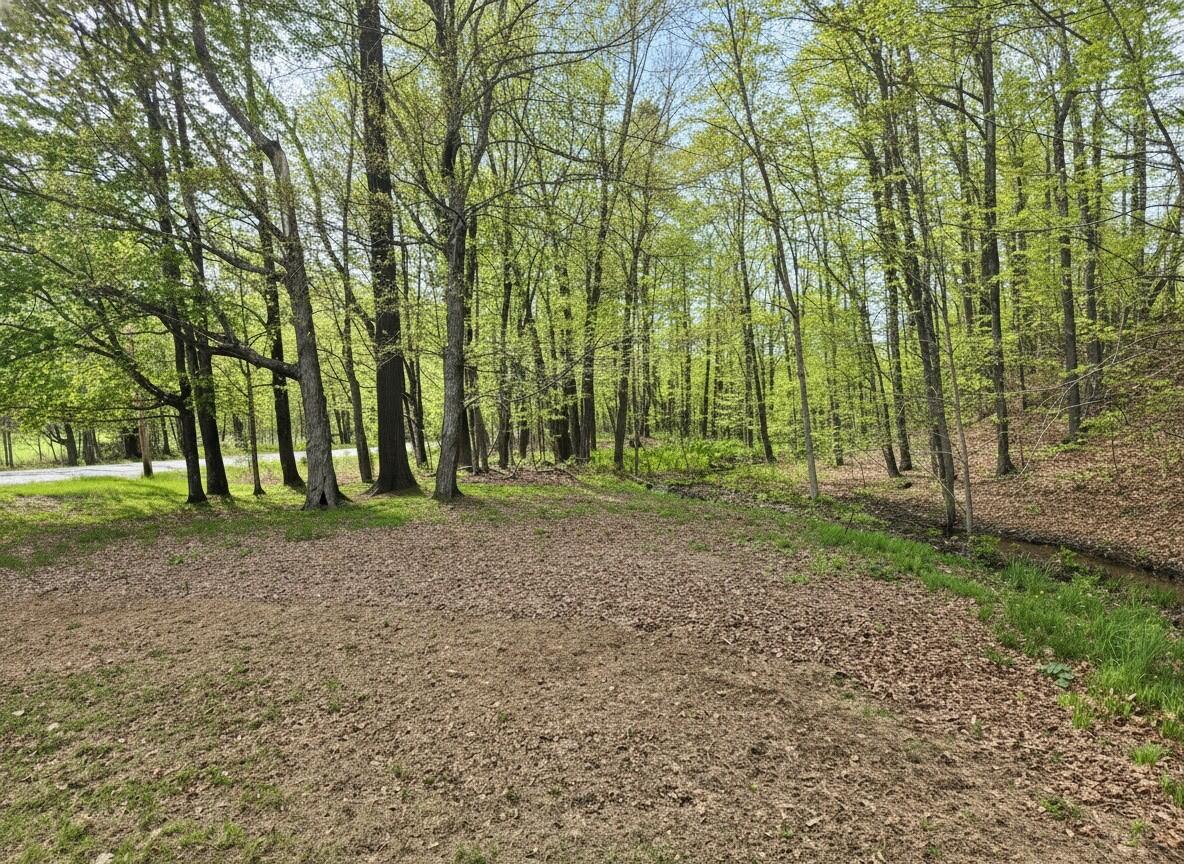 372 River Road Property Photo 17